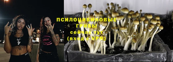 кристаллы Алзамай