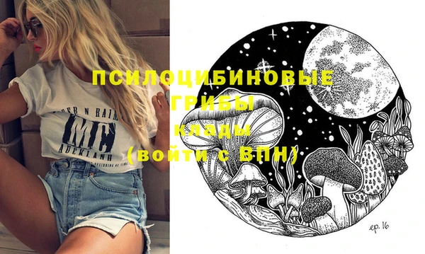 винт Алексеевка