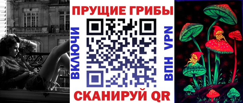 где продают наркотики  Железноводск  Псилоцибиновые грибы ЛСД 